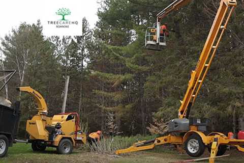 Roanoke Tree Removal Service Expands Local Tree Services