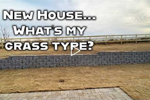 New house is built. Sod lawn is installed. And I have no clue what type of bermudagrass it is!