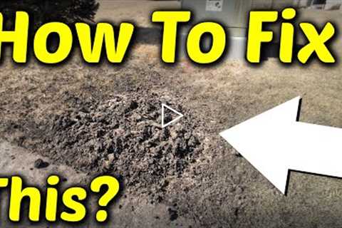 Fix Your Lawn After Construction or Utility Work // Cable In The Driveway Story
