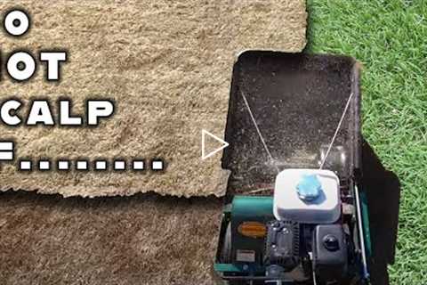 Scalping is an important spring lawn care tip but not for everyone! Why you shouldn't scalp grass.