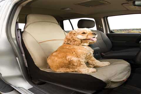 8 Best Dog Car Seat Covers for Easier Cleaning