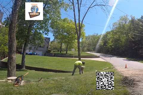 Genesis Tree Service Ashburn