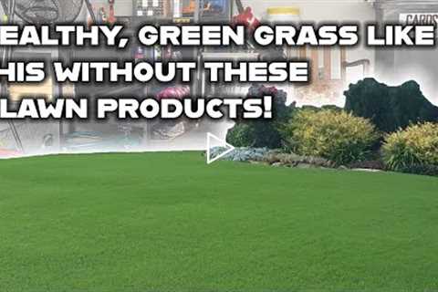You don't NEED these 3 products to have healthy, green grass! Basic lawn care tips on a budget.