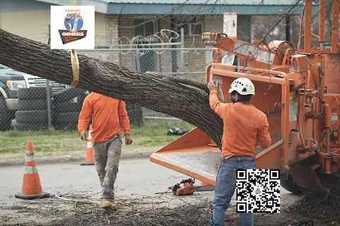 Genesis Tree Service Ashburn