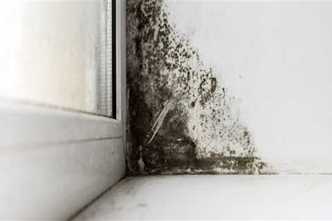 Does home inspection check for mold?