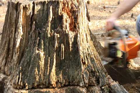 How deep should you grind a stump?