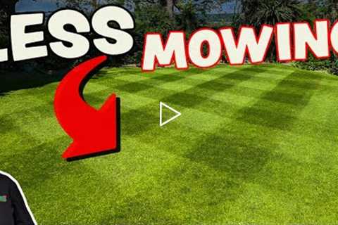 How to cut your lawn LESS  // Less mowing after doing this one thing  // PGR