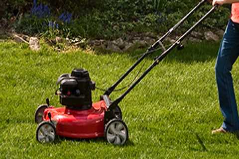 What lawn care should be done in the spring?
