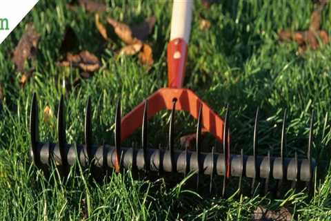 Is lawn aeration necessary every year?
