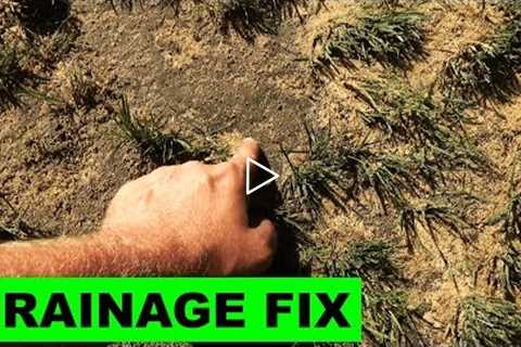 Fixing soggy lawns with sand