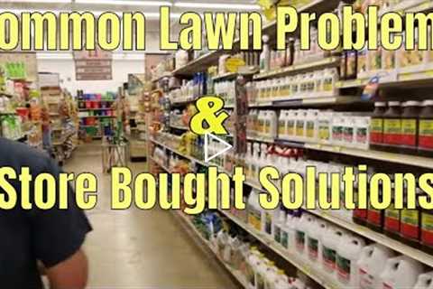 DIY How To fix common lawn problems with store bought solutions. 5 common lawn problems &..