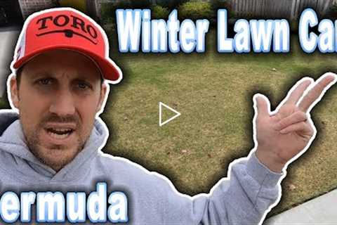 Winter Lawn Care for Bermudagrass // Easy Lawn Tips for Dormant Grass // Do it All in Just One Day!