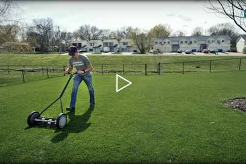I Bought ANOTHER Reel Mower and Here's WHY...