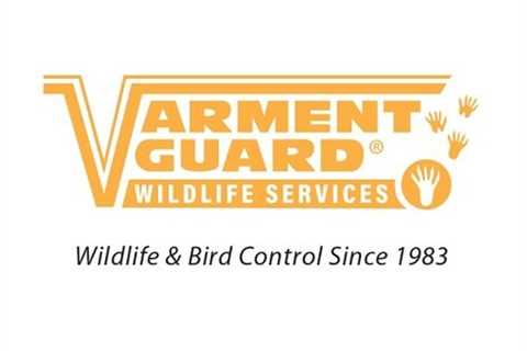 • Varment Guard Wildlife Services • Fort Wayne • Indiana • https://varmentguard...