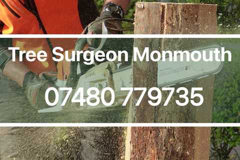 Tree Surgeon Over Monnow