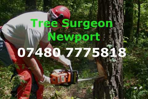 Tree Surgeon Penyrheol