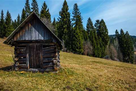 What are the disadvantages of a log home?