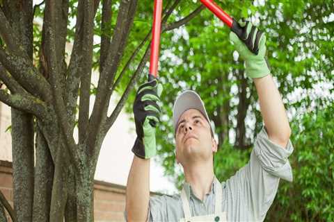 How much is tree service insurance?