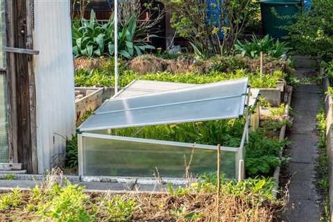 What Is a Cold Frame Greenhouse?