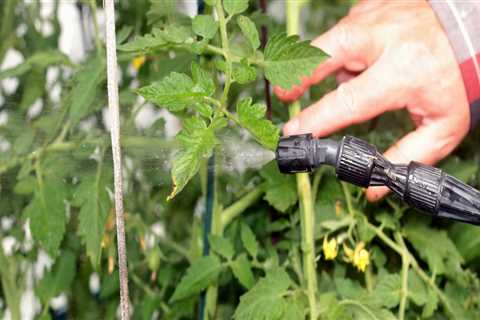 How do you control pests in your vegetable garden naturally?