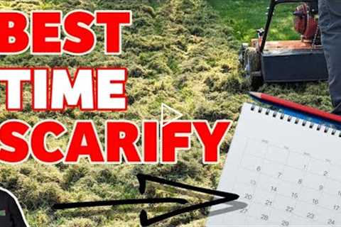 How and when should you scarify a lawn / Beginners guide
