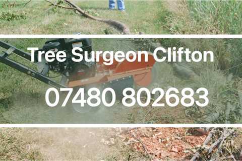 Tree Surgeon Camerton