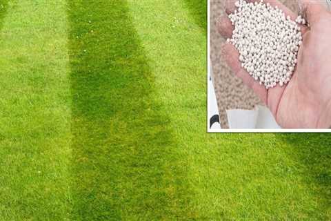 How many times a year should you treat your lawn?