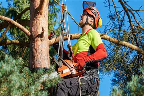 Is an arborist a good career?