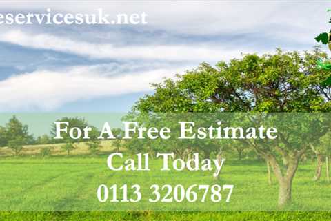 Thornton Tree Surgeon 24 Hr Emergency Tree Services Felling Dismantling & Removal
