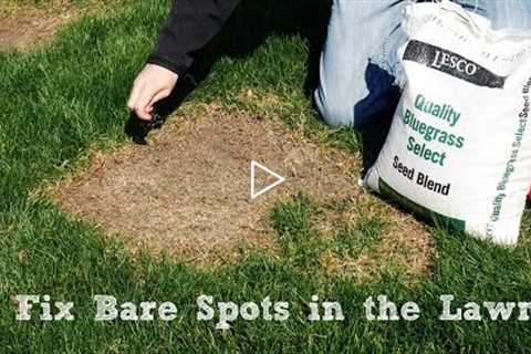 How To Seed And Repair Bare Spots in the Lawn