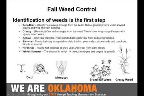 Fall Weed Control and Lawn Care Presentation