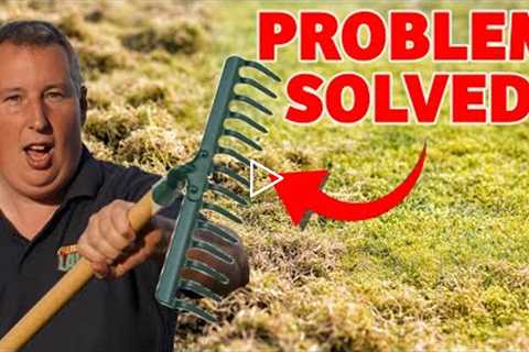 Do you have a lawn that is SPONGY to walk on - This is the FIX