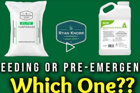 Should You SEED YOUR LAWN or use PRE-EMERGENT In Spring??