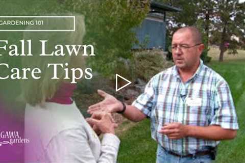 Tagawa Gardens Fall Lawn Care Tips