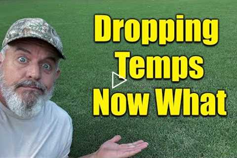 Fall Lawn Fertilizers Time to Change with Falling Temps