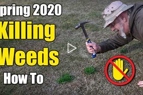 Killing Lawn Weeds - Winter and Early Spring