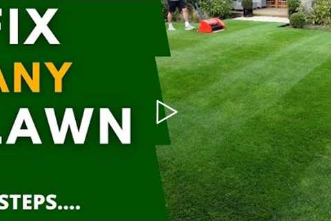 Renovate ANY Lawn this Autumn - 4 EASY Steps