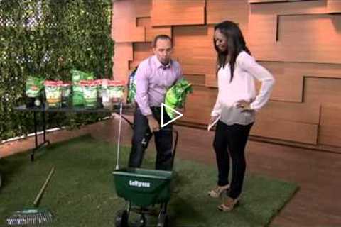 The best tips for great spring lawn care