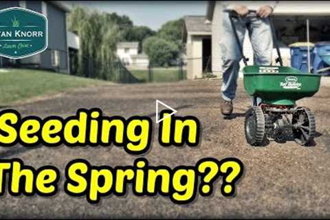 Seeding Your Lawn This Spring?...Watch This First!!! | Spring Lawn Care Tips