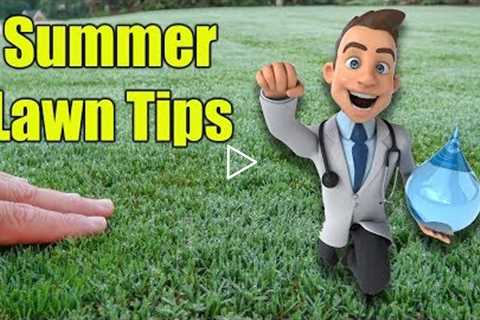 Summer Lawn Care Tips