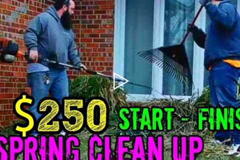 $250 SPRING LAWN CLEAN UP RECAP - SATISFYING - LAWN CARE TIPS FOR BUSINESS OWNERS