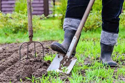 A Complete Spring Yard Cleanup Checklist