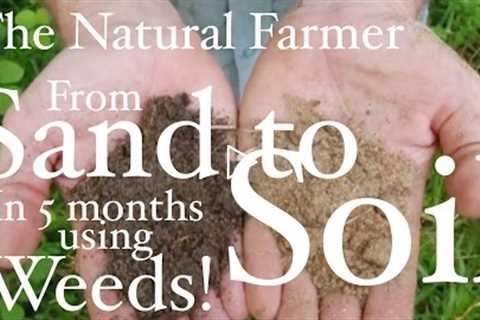 Fix Sandy Soil Using Weeds - John Kaisner The Natural Farmer