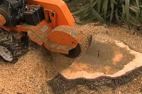 What To Do With Saawdust From Stump Grinding?