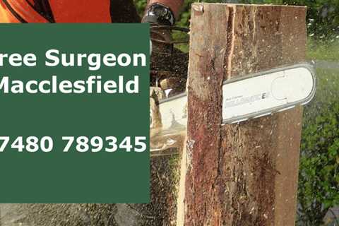 Tree Surgeon Altrincham