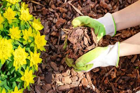 Are you supposed to mulch every year?