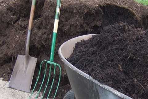 What is the best time to put down mulch?