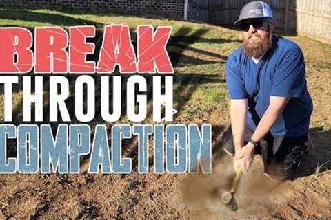3 Simple Tips to Fix Compacted Soil