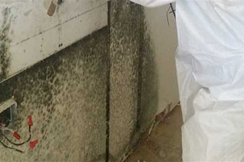 Mold Inspection In Toronto: Waterproofing Prevents Black Molds
