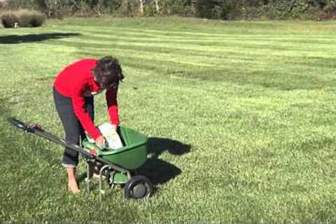 Fall Lawn Care Tips